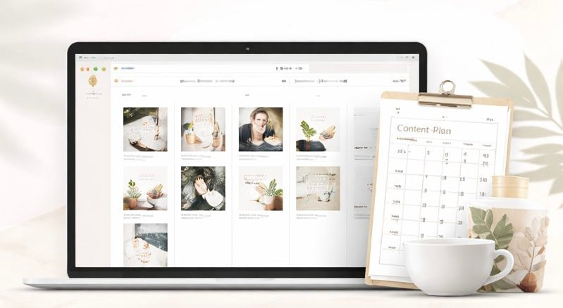 ZWIDEBE VISIBILITY – Monatliche Content-Betreuung